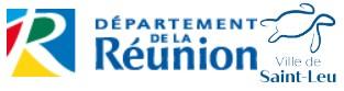 Region reunion ville de st leu
